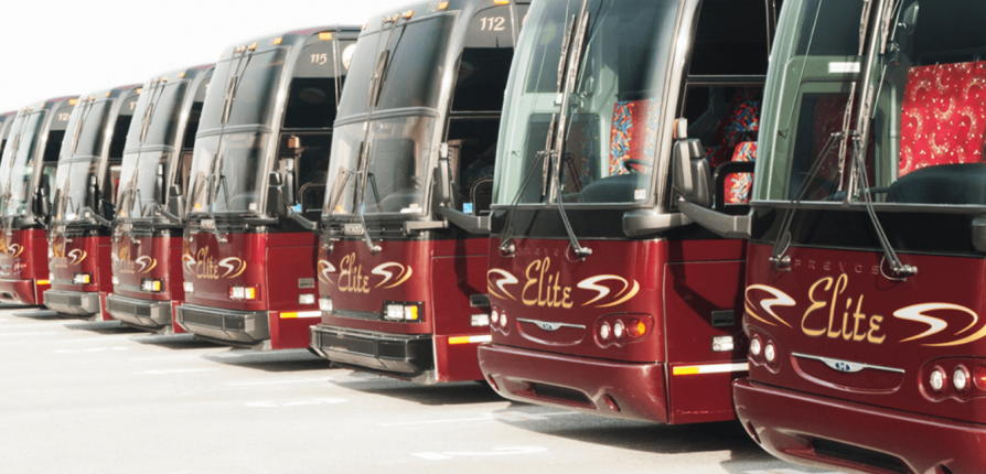 Closeup image of Elite Tour buses