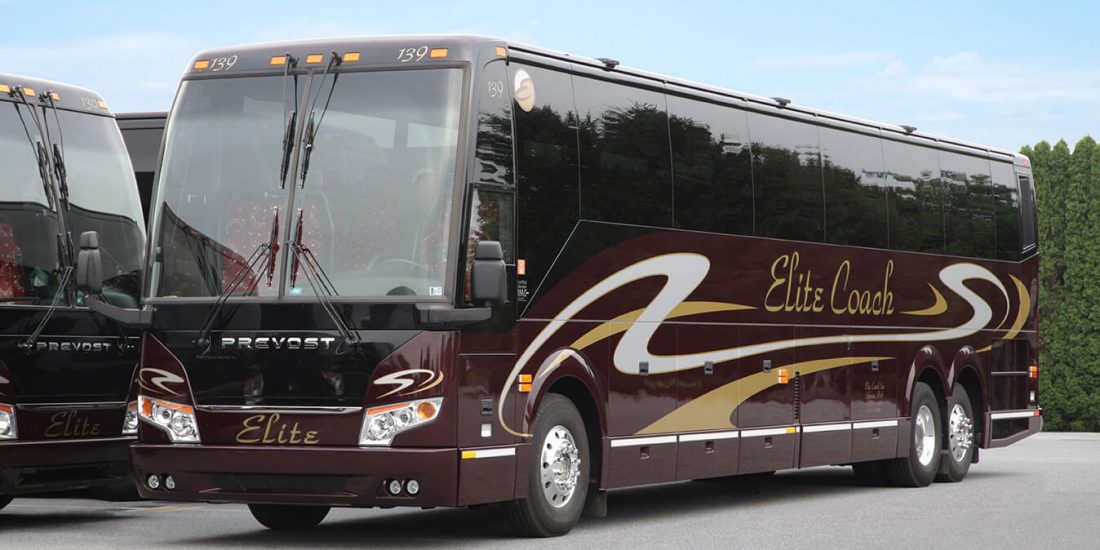 city star transport fleet