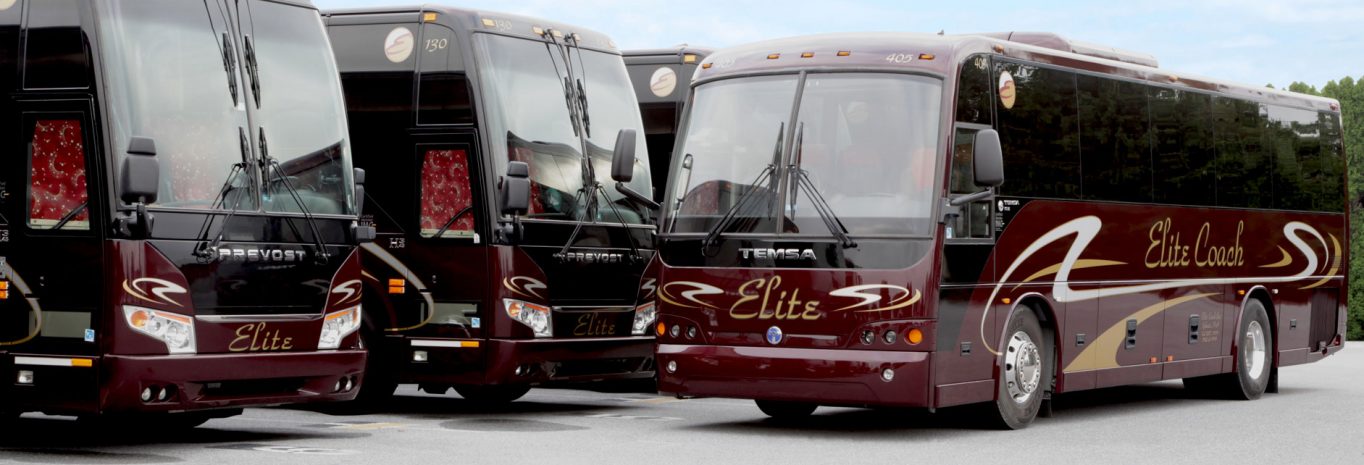 Elite Coach tour buses in parking lot